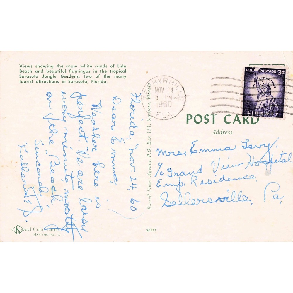 Vtg Greetings From Sarasota Florida Postcard Lido Beach Flamingos Gulf of Mexico - Picture 2 of 2